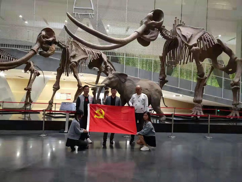 Ϸ(й)ٷ